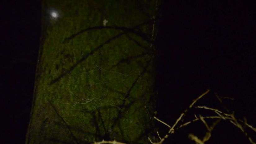 Prairie - 17._nocturne